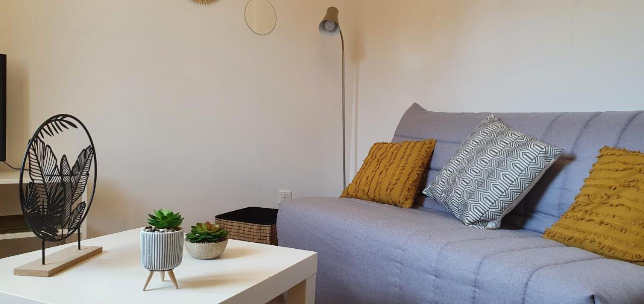Studio Et Appartement A 2 Pas De La Cite カルカソンヌ エクステリア 写真
