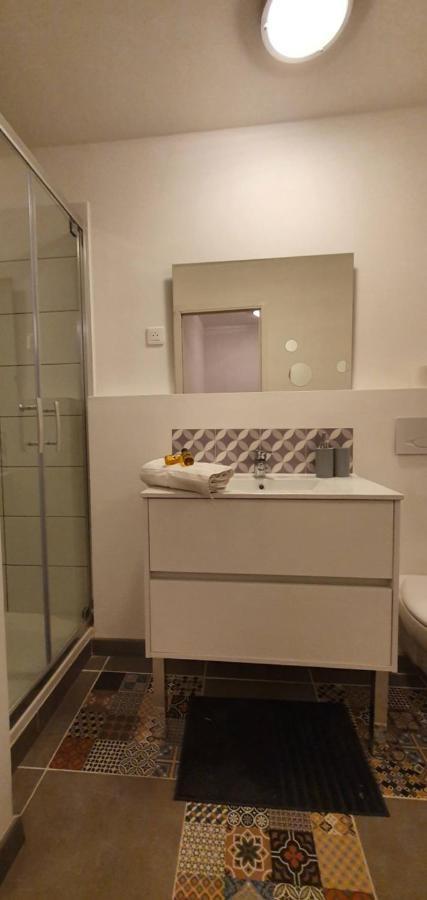 Studio Et Appartement A 2 Pas De La Cite カルカソンヌ エクステリア 写真