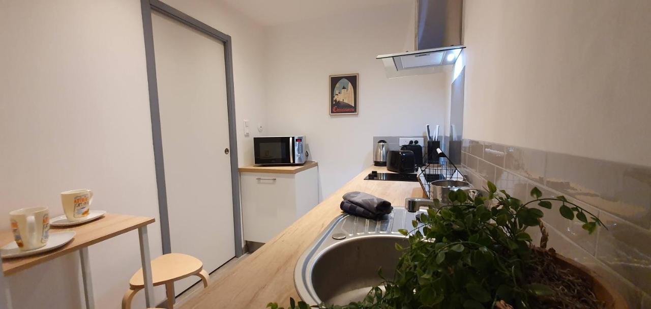 Studio Et Appartement A 2 Pas De La Cite カルカソンヌ エクステリア 写真