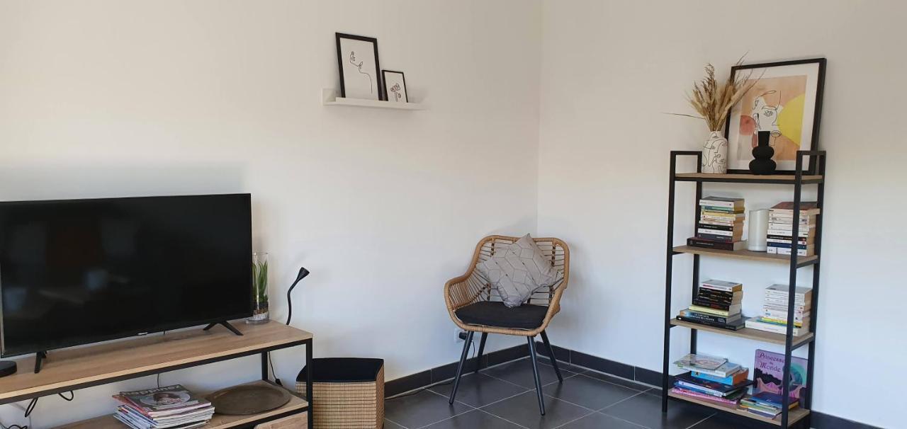 Studio Et Appartement A 2 Pas De La Cite カルカソンヌ エクステリア 写真