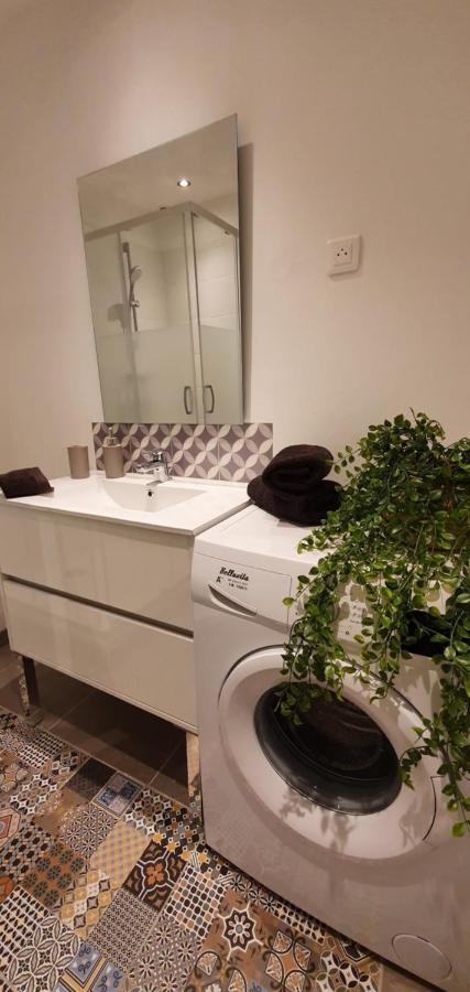 Studio Et Appartement A 2 Pas De La Cite カルカソンヌ エクステリア 写真